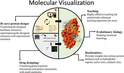 Pepblock Builder VR – An Open-Source Tool for Gaming-Based Bio-Edutainment in Interactive Protein Design